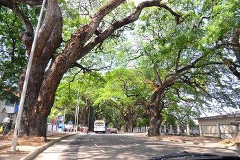 Colombo Villa Hotel 3*