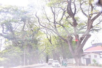 Colombo Villa 3*
